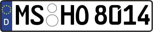 MS-HO8014