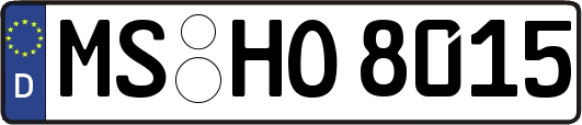MS-HO8015
