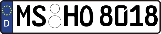 MS-HO8018