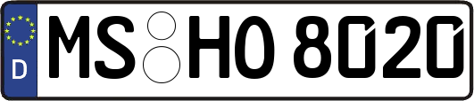 MS-HO8020