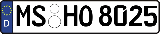 MS-HO8025