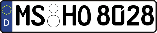 MS-HO8028