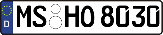 MS-HO8030