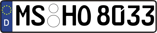 MS-HO8033