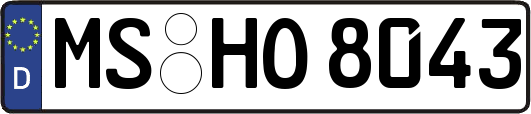 MS-HO8043