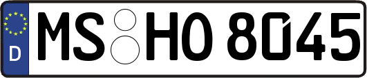 MS-HO8045