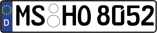 MS-HO8052