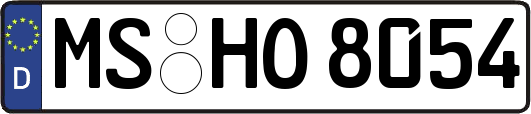 MS-HO8054