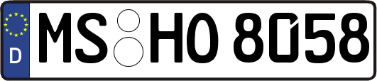 MS-HO8058