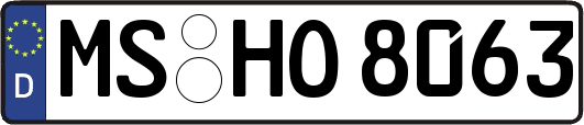MS-HO8063
