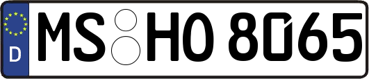 MS-HO8065