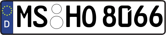 MS-HO8066