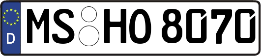MS-HO8070
