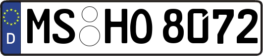 MS-HO8072