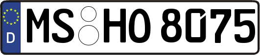 MS-HO8075