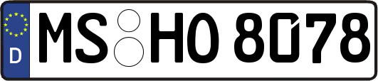 MS-HO8078
