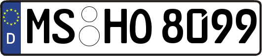 MS-HO8099