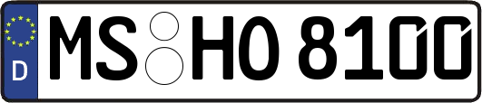 MS-HO8100