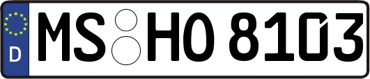 MS-HO8103