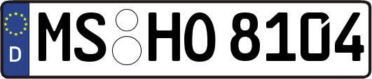 MS-HO8104