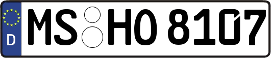 MS-HO8107