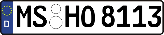 MS-HO8113