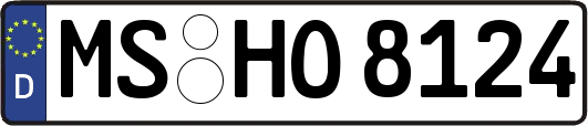 MS-HO8124