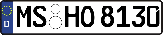 MS-HO8130