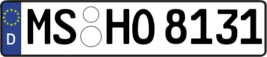 MS-HO8131