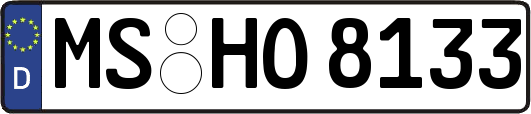 MS-HO8133