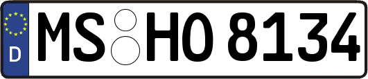 MS-HO8134