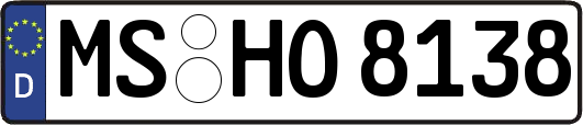 MS-HO8138