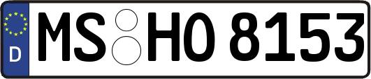 MS-HO8153