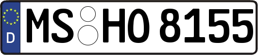 MS-HO8155