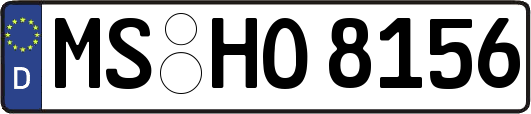MS-HO8156