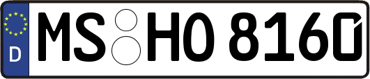 MS-HO8160