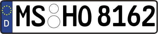 MS-HO8162