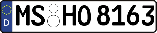 MS-HO8163