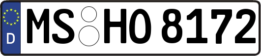 MS-HO8172
