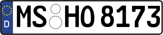 MS-HO8173