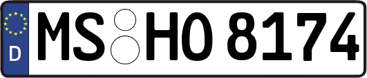 MS-HO8174