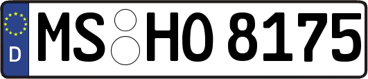 MS-HO8175
