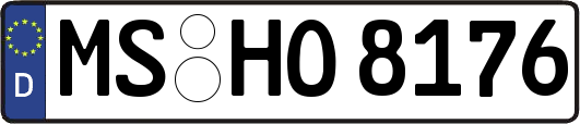 MS-HO8176