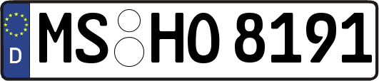 MS-HO8191