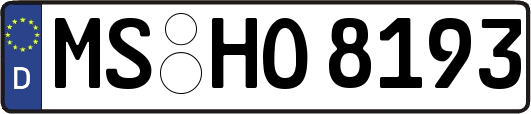 MS-HO8193