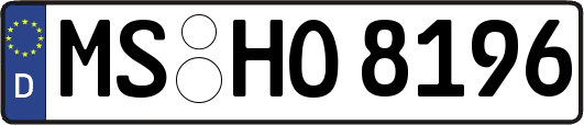 MS-HO8196