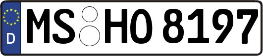 MS-HO8197