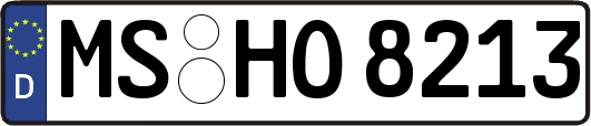 MS-HO8213