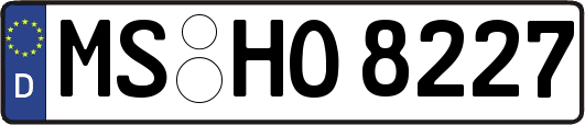 MS-HO8227