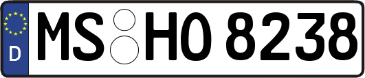 MS-HO8238